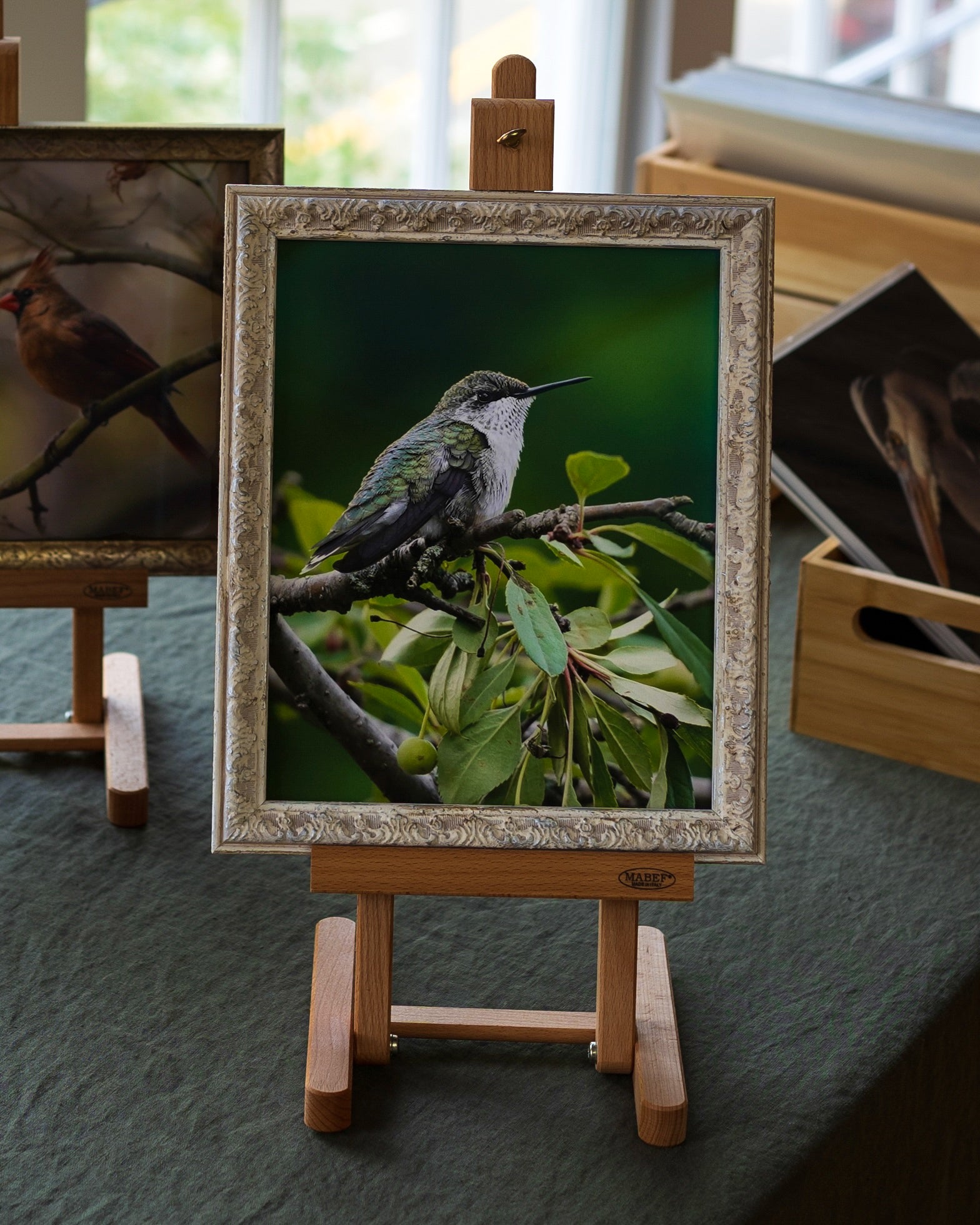 Framed print of a Ruby-Throated Hummingbird perching in a crabapple tree.